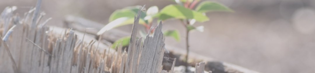 事例紹介背景画像02